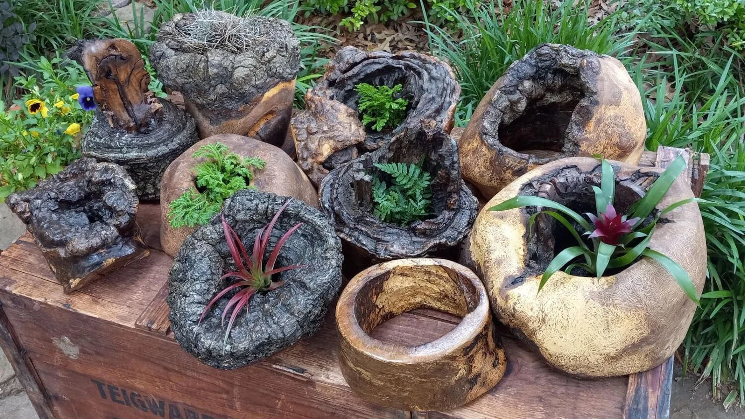 Decorative burl ring sculptures