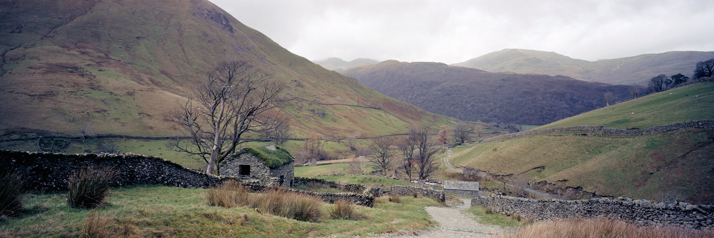 1182_Hartsop_PORTRA160_02.jpg