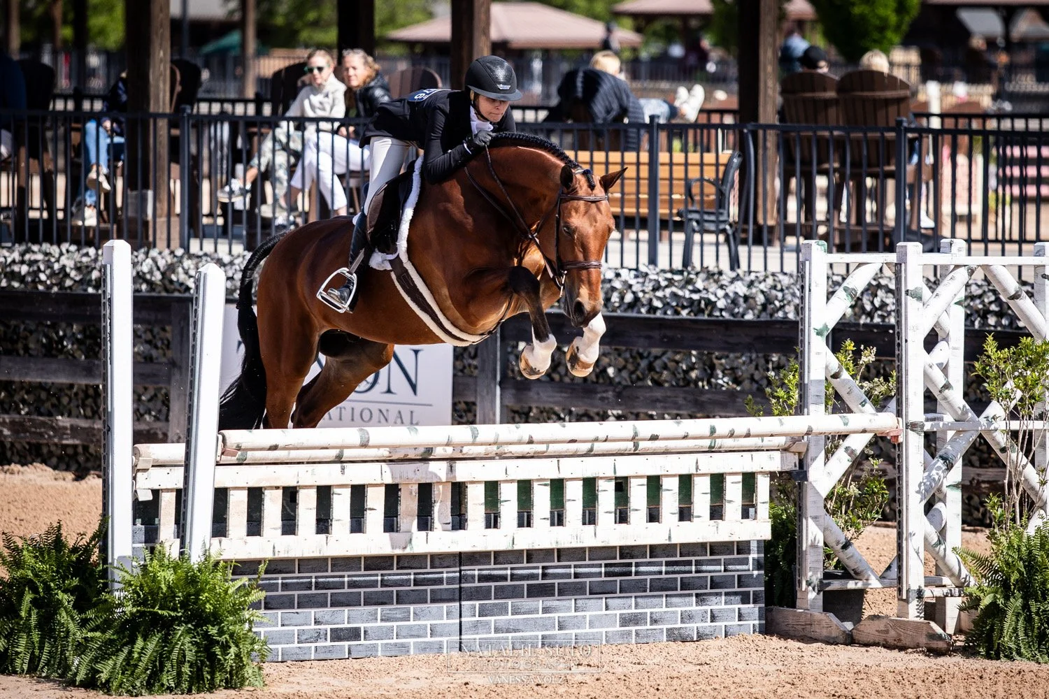 April’s Tryon Show Highlights