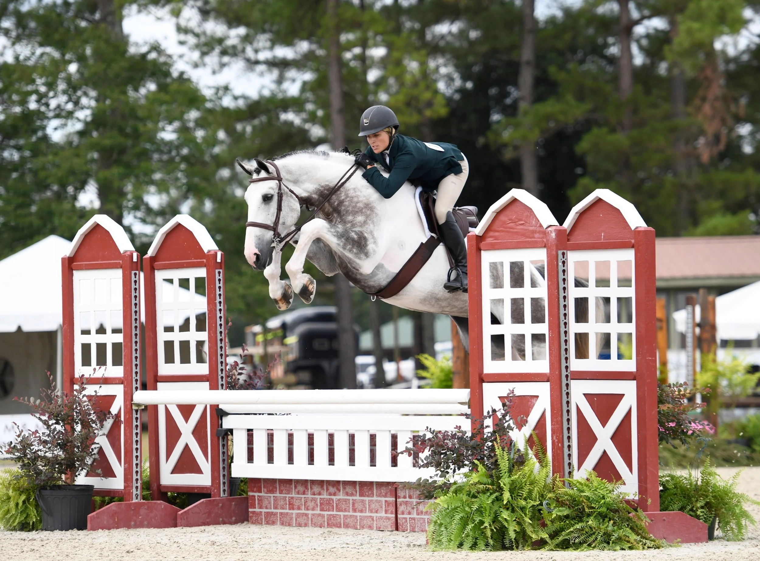 horse show lessons hunter jumper charleston