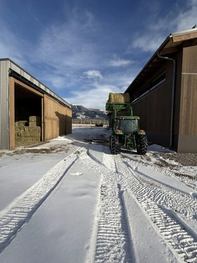 View - Hay Barn.jpg