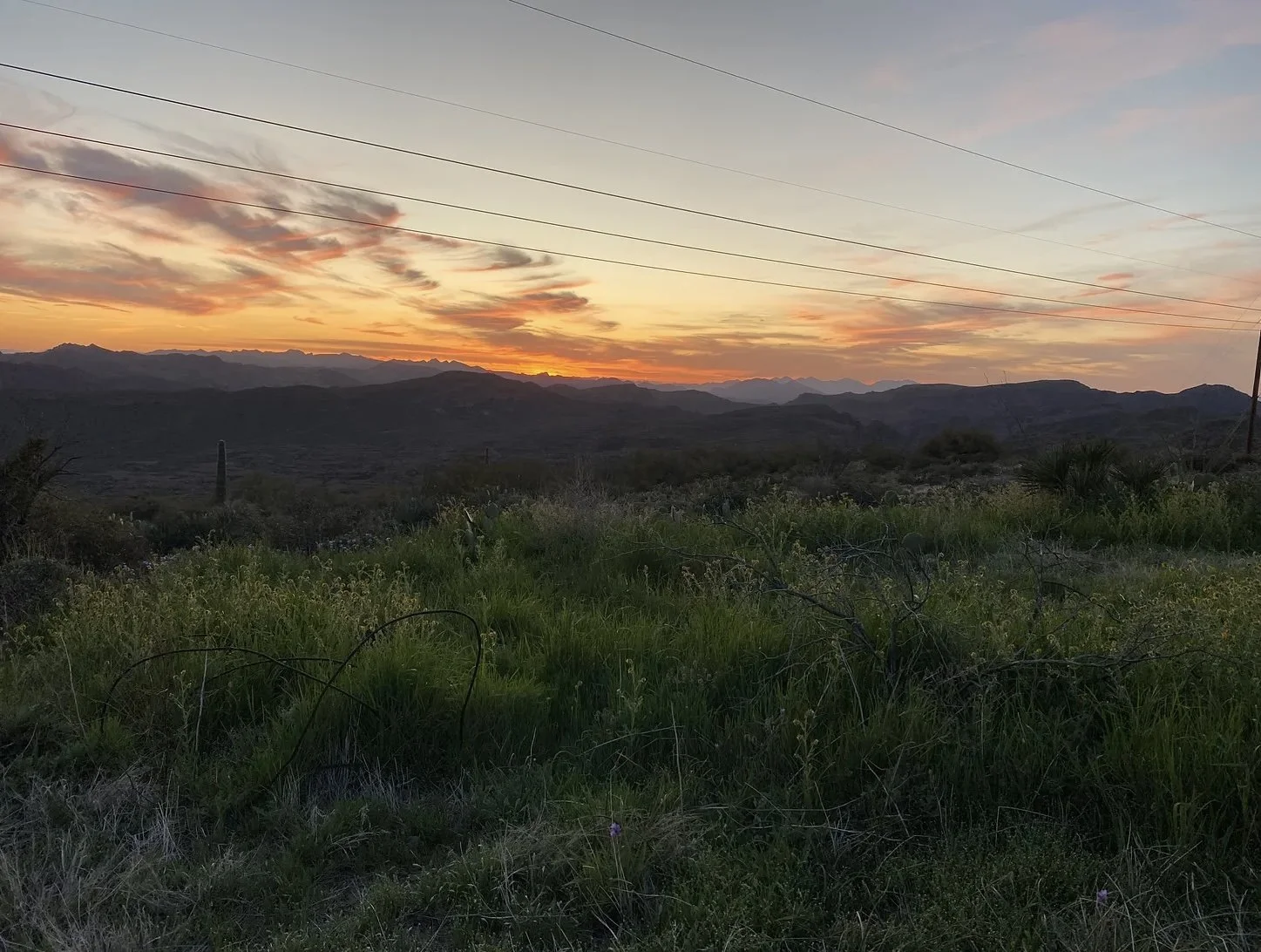 Let’s talk ~reality~