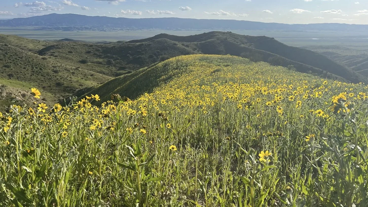 “Escaping” the weather