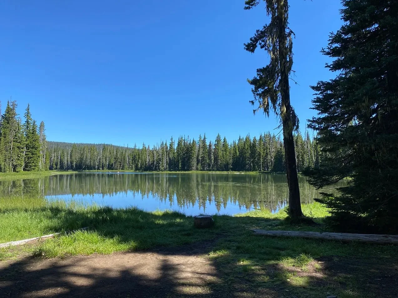 Art gallery install! 🌊