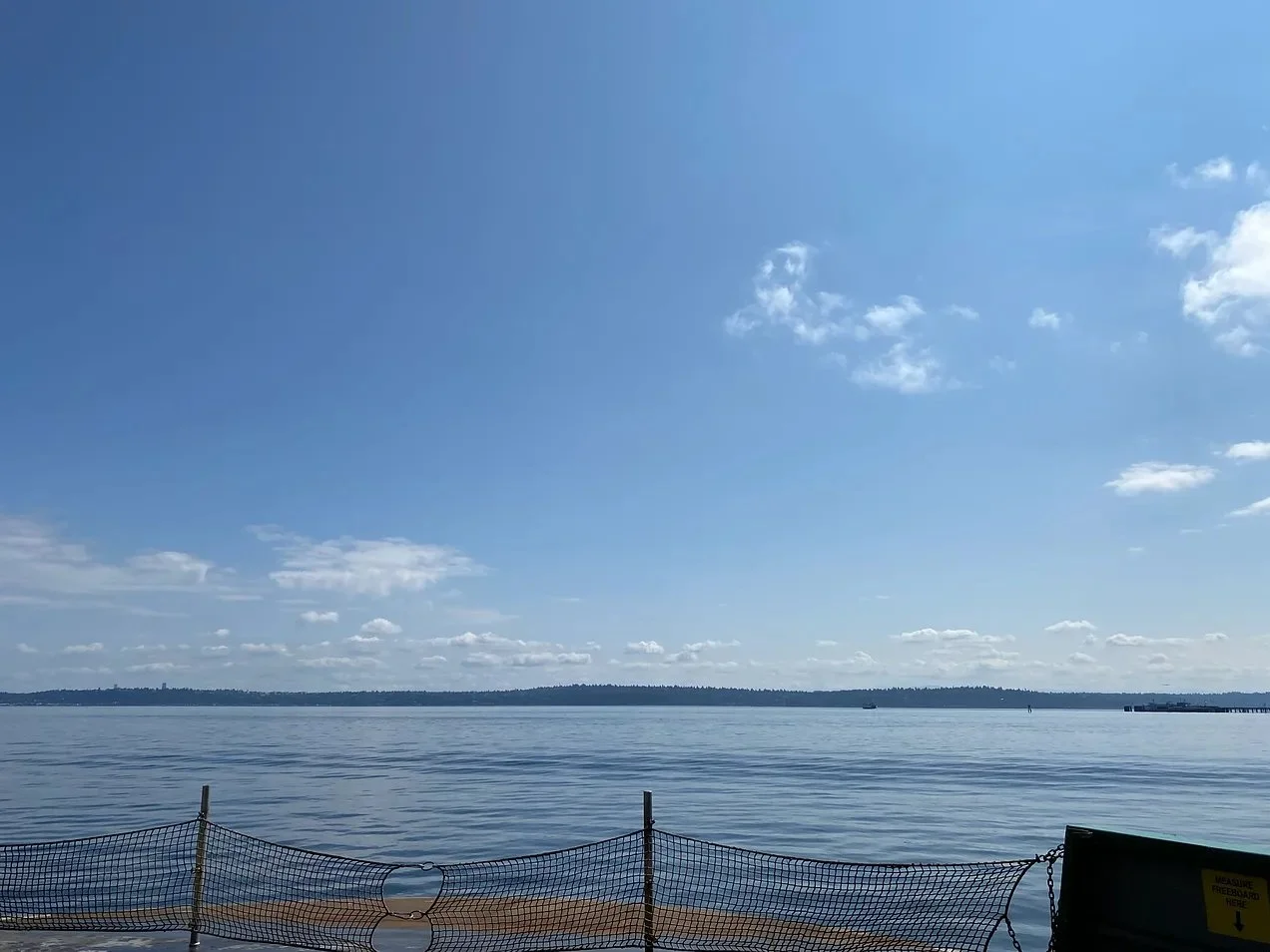 Barbie + Blueberries 🎀🫐