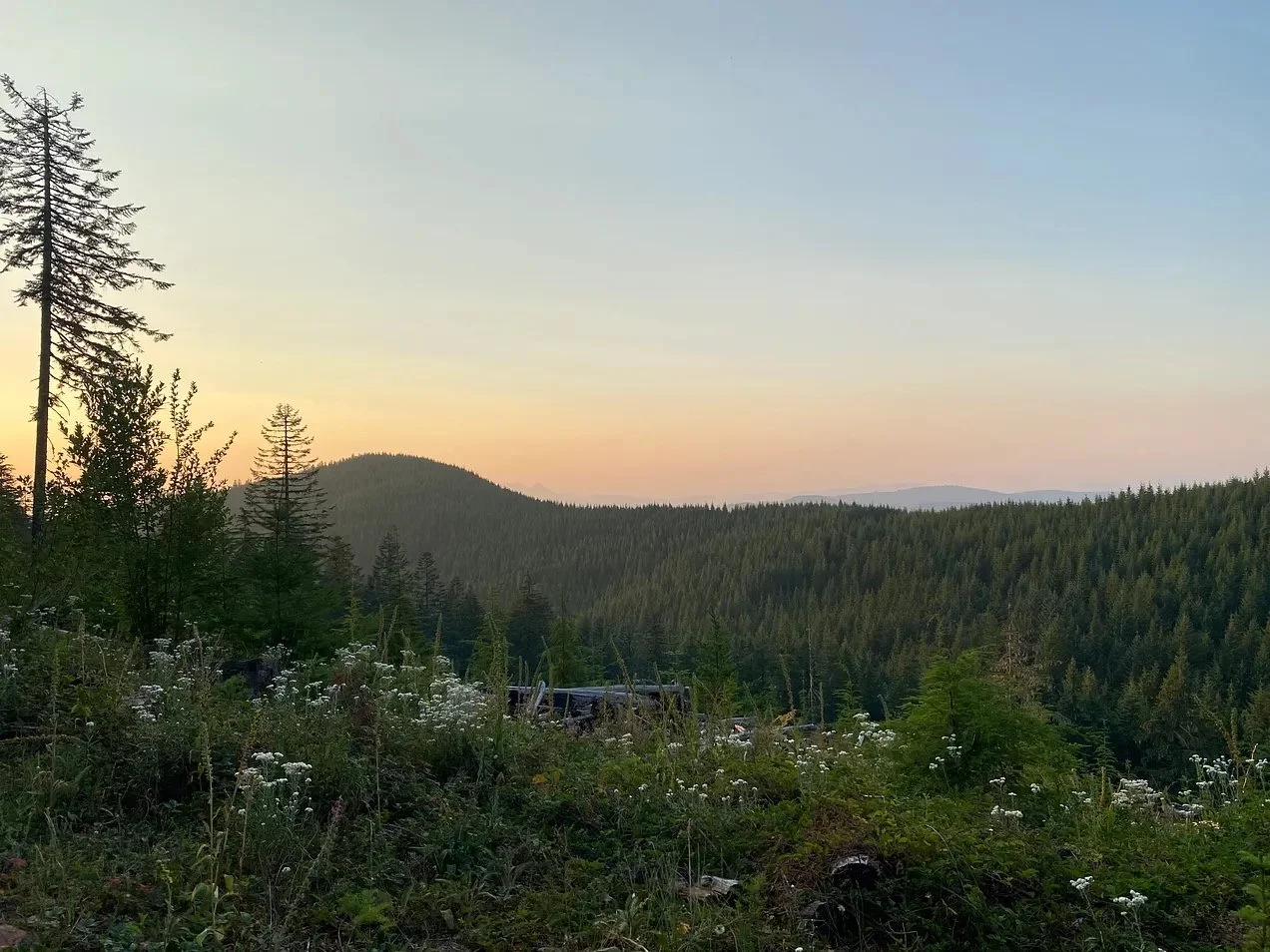 T-minus 1 week to 🇹🇷