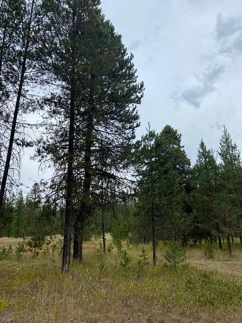 the one where we're stuck in mud2.jpeg