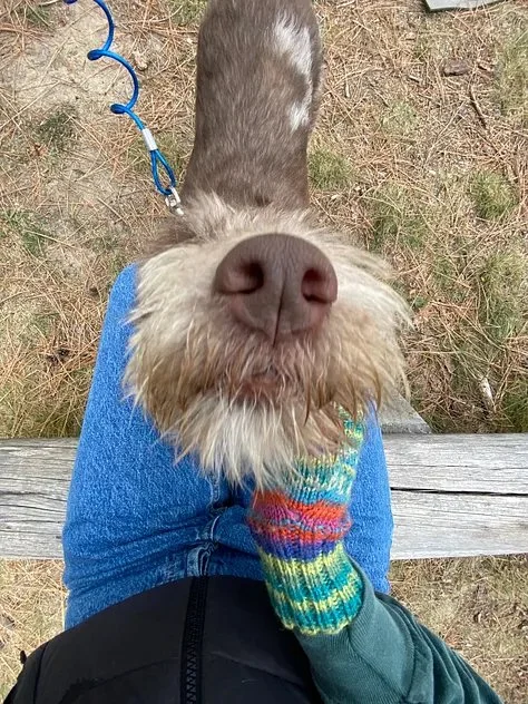 the one where we're stuck in mud3.jpeg