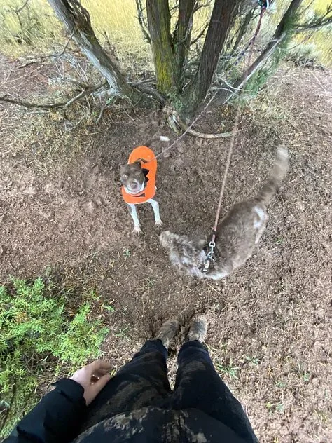 the one where we're stuck in mud10.jpeg