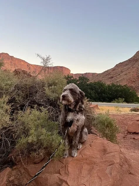 the one where we're stuck in mud25.jpeg