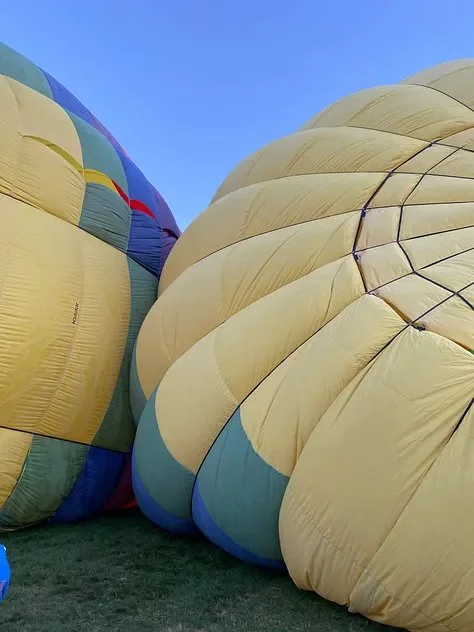 balloons, dogs, and burning man?8.jpeg