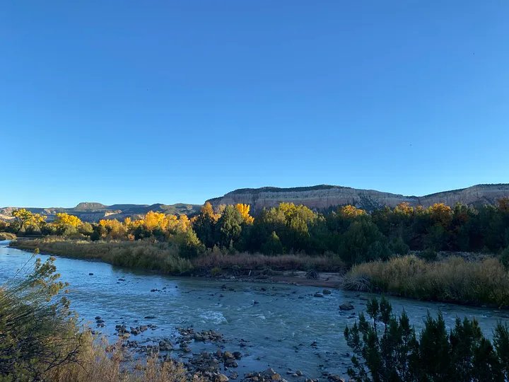 balloons, dogs, and burning man?22.jpeg