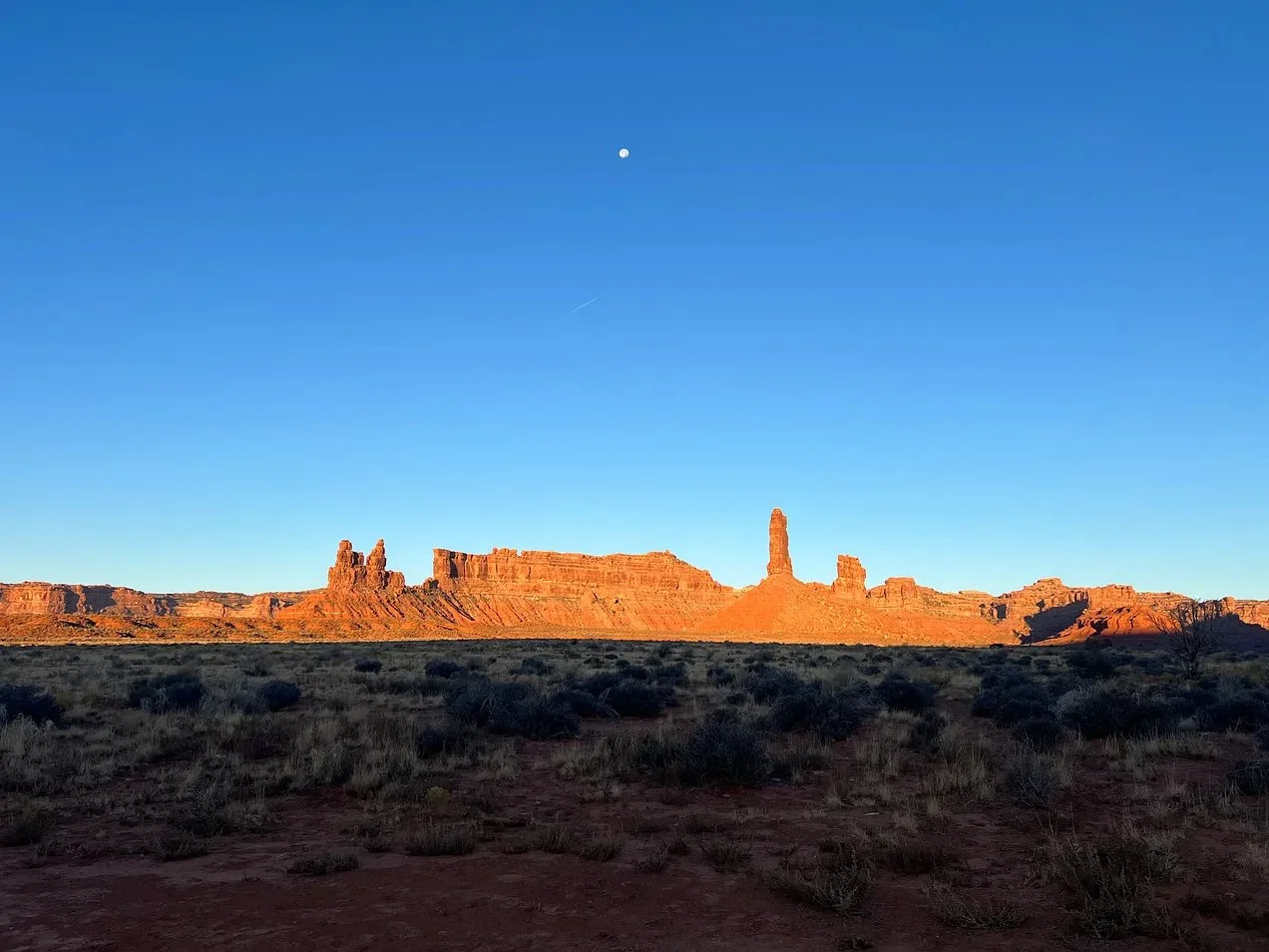 Launching a collection on the road!