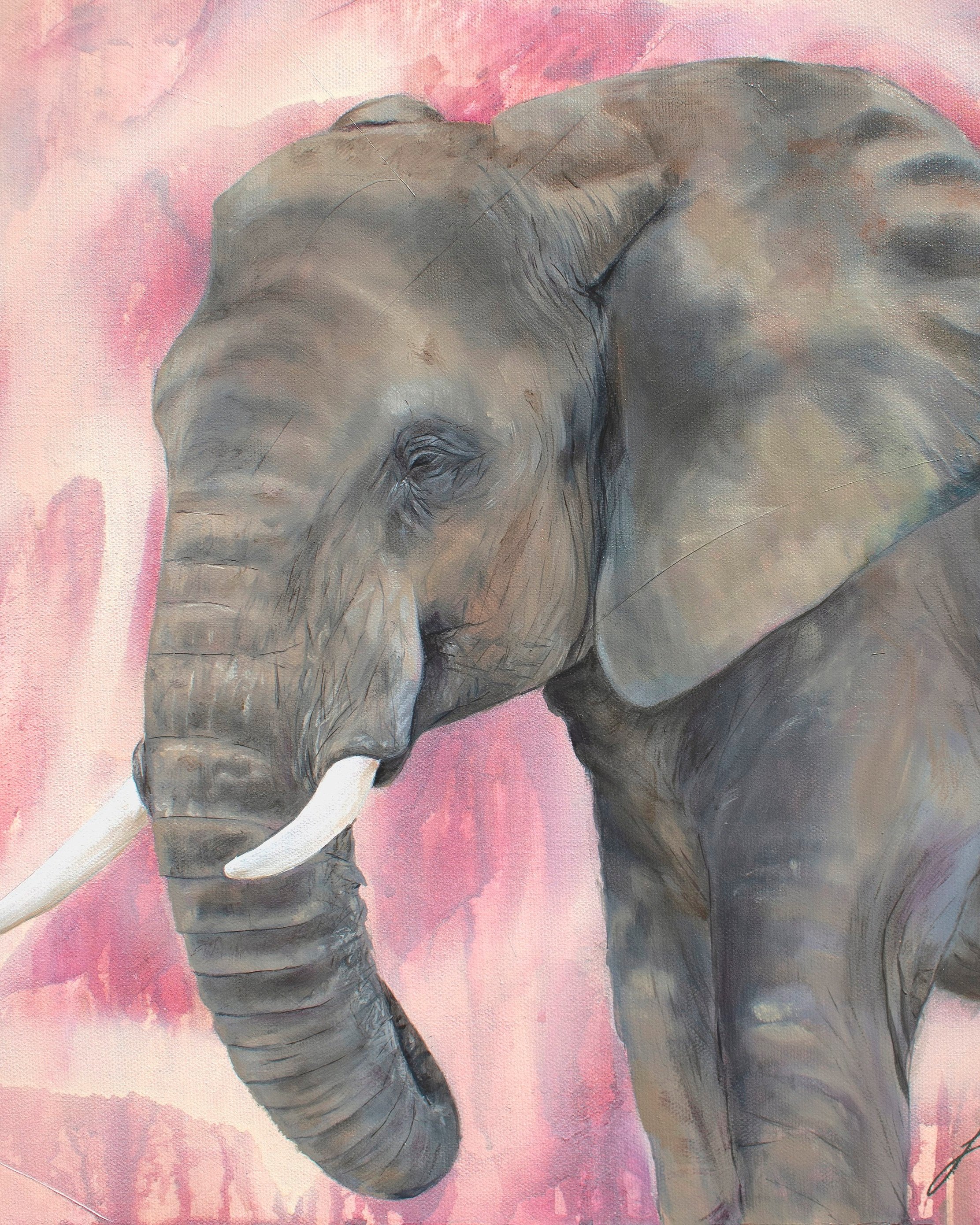 Elephant+close+up2.jpg