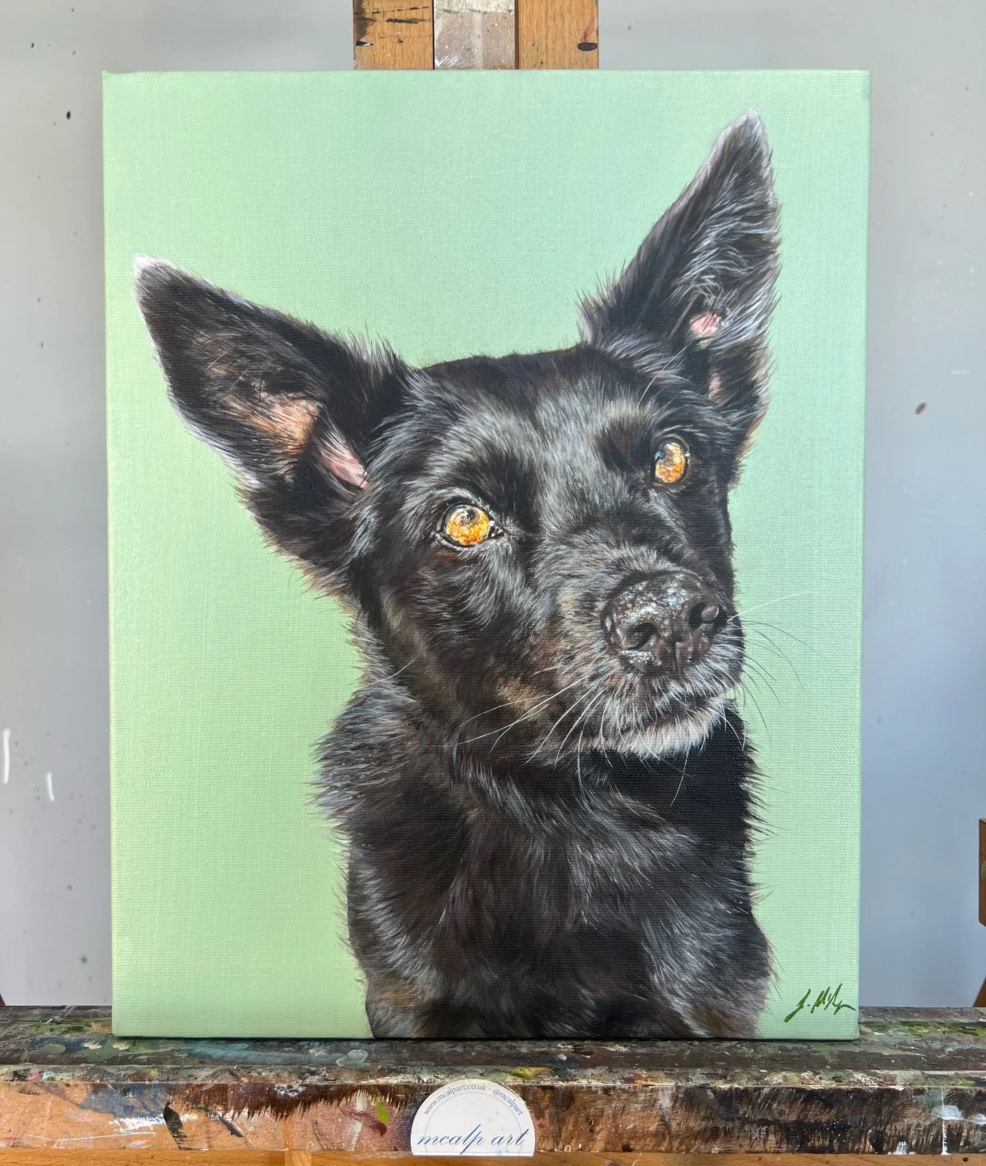 A closer look at Lacey 🥹💚

Sharing some of the behind the scenes pictures of creating this sweet pet portrait painting of Lacey a 13 year old Kelpie 🥹 and isn&rsquo;t she beautiful? I loved painting her shiny black fur and those gorgeous pointy ea