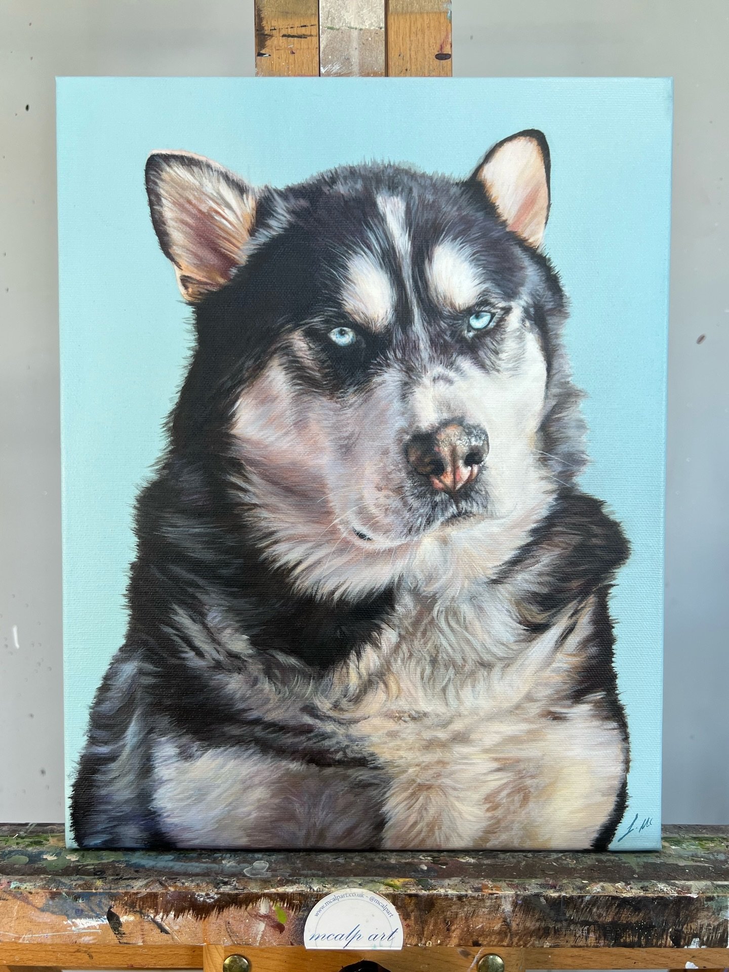 A closer look at Bane 🩵

Banes portrait was the second painting in this duo pet portrait commission for my client, and what a handsome boy he is! I absolutely loved getting the chance to paint such thick fur, and he was the first Husky I&rsquo;ve pa