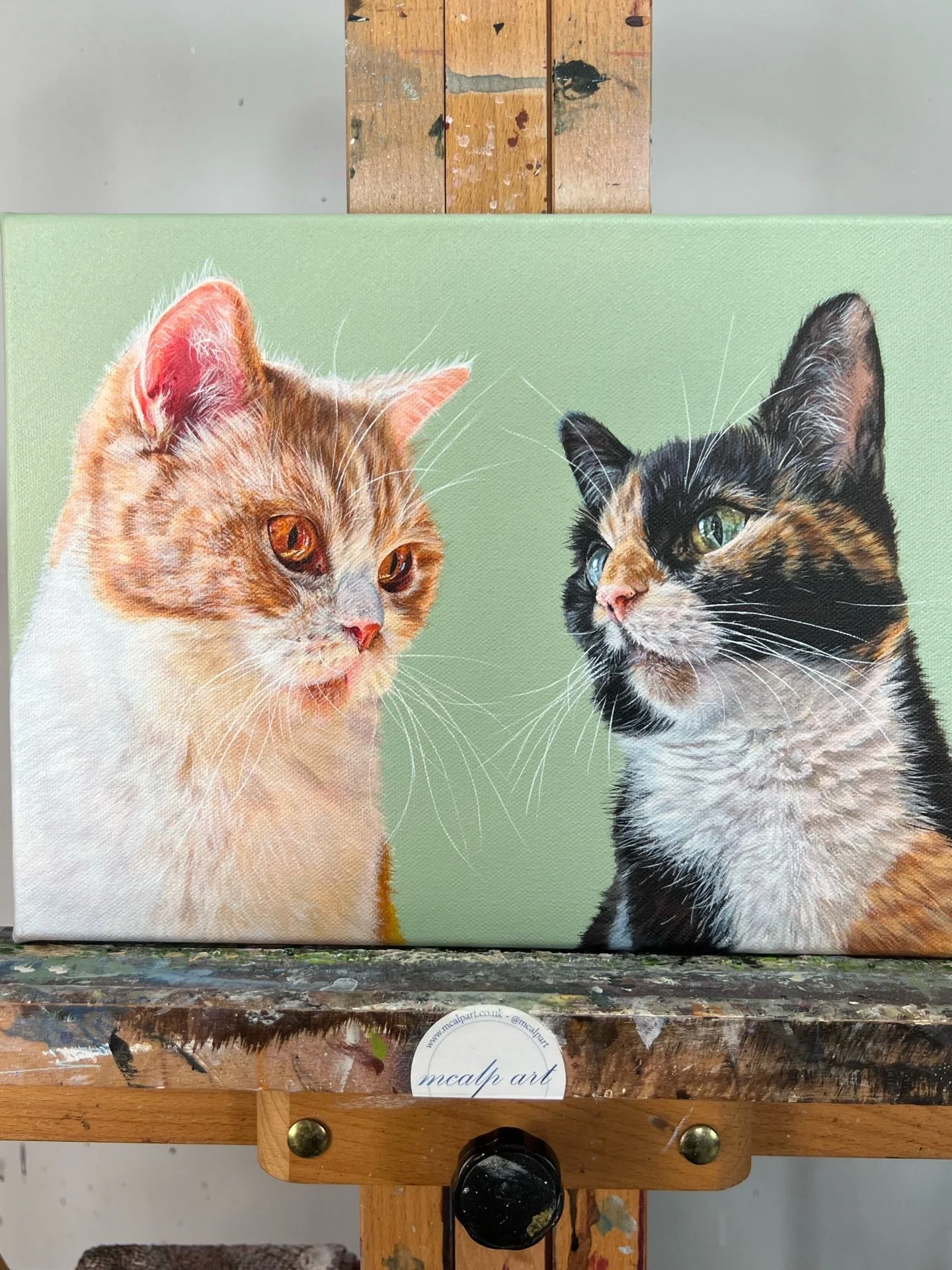 A closer look at Max and Betty 🥹

I absolutely loved creating this really special duo pet portrait commission of Max the ginger British shorthair, and Betty the Calico ❤️ what a beautiful pair they are!! I love that she actually gave me a lot of gor