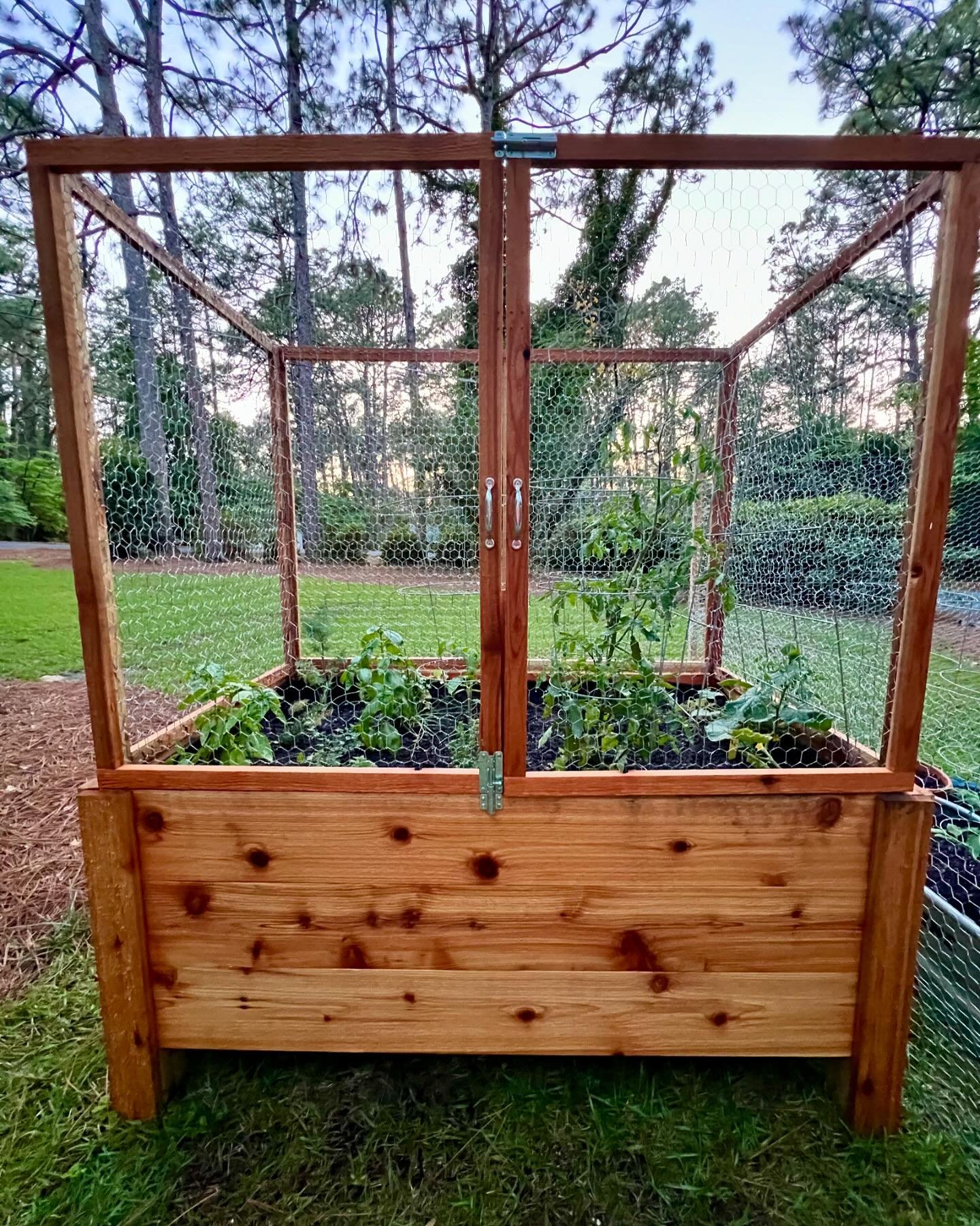 🌱 HUGE shoutout my handy and creative hubby for making this beautiful (now deer proof, woohoo!) raised bed I&rsquo;m utterly obsessed with for our first go at growing some of our own veggies and herbs! 🤩 🍆🥒🍅🫑