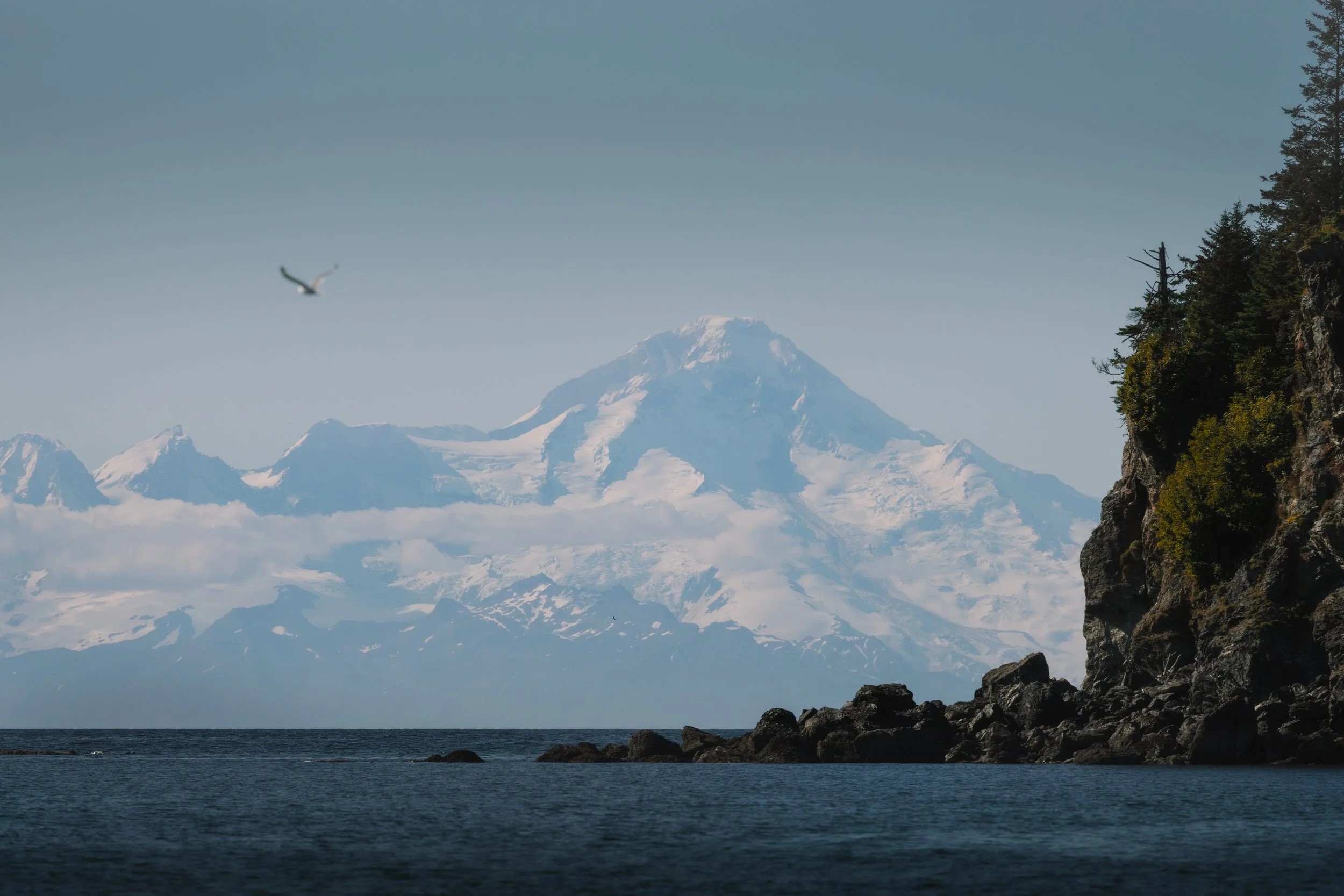 BO2A6119-Edit.jpg