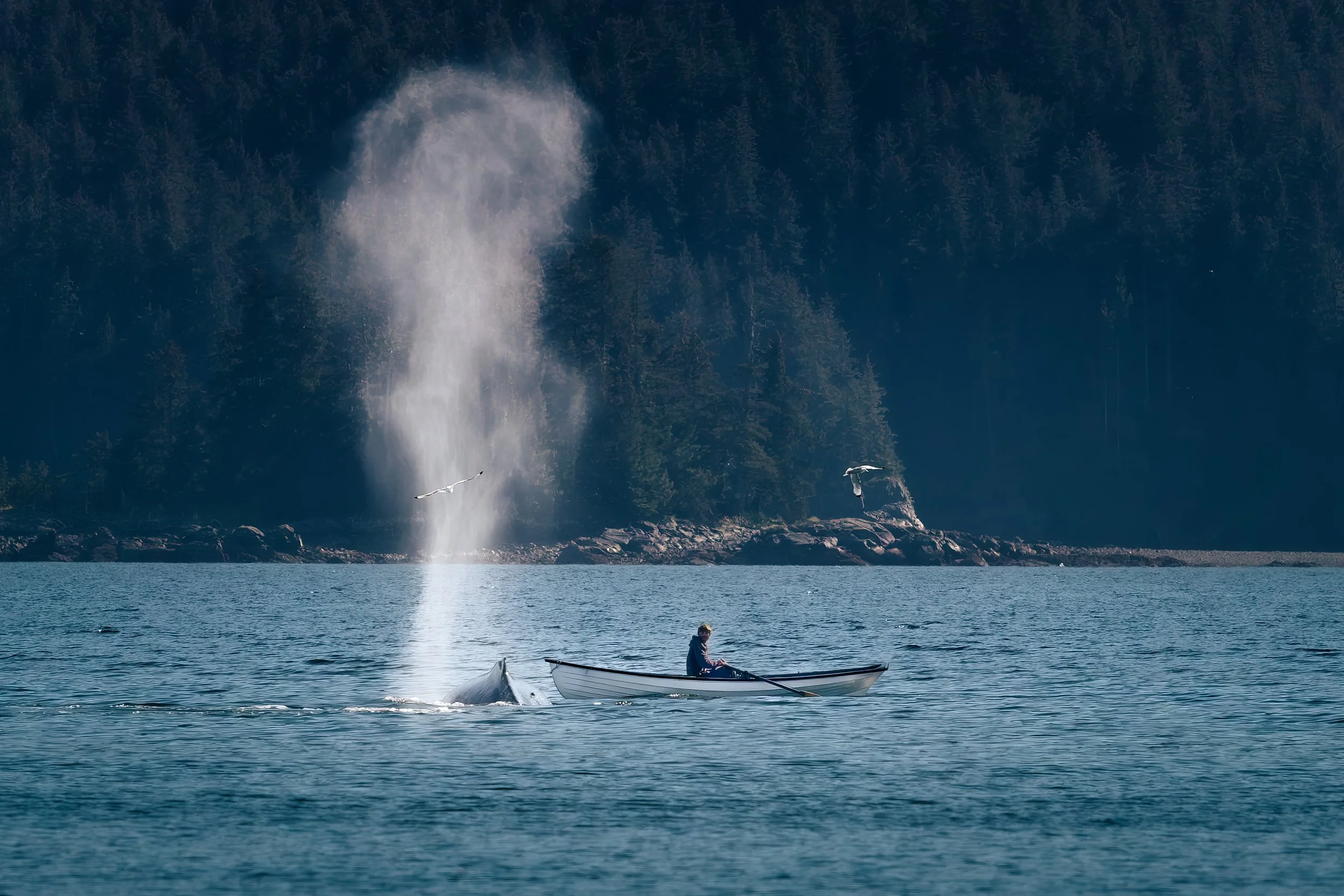Alaska-1.jpg