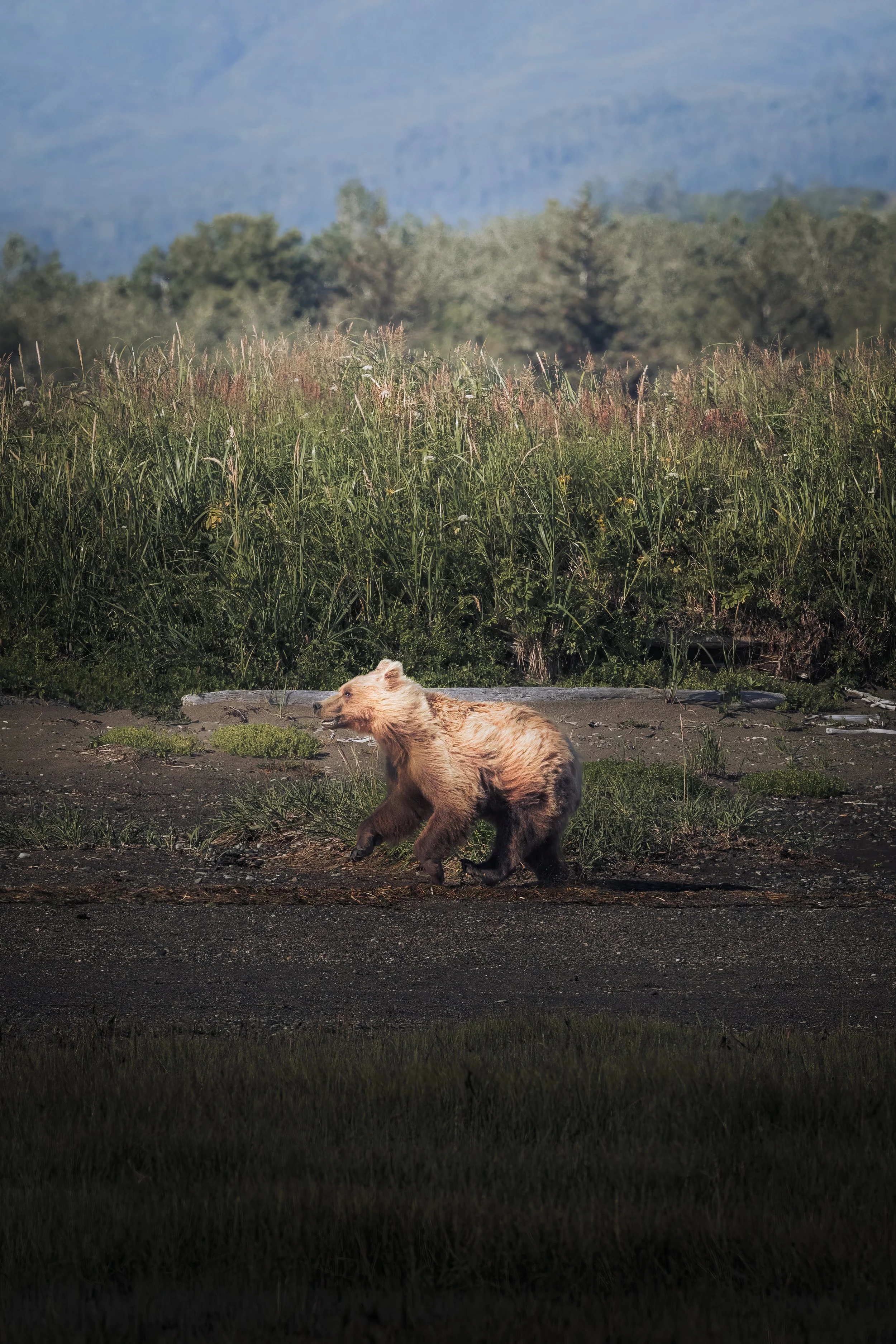 BO2A3868-Edit-Edit.jpg