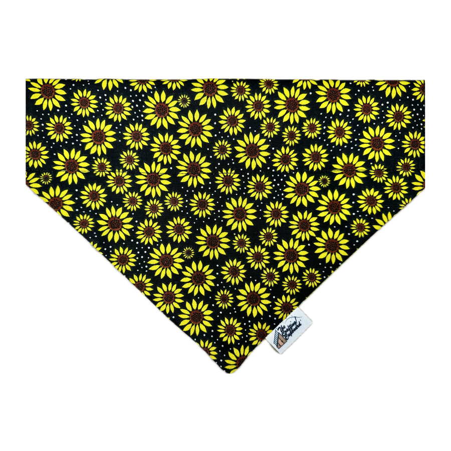 Bandanas (88).png