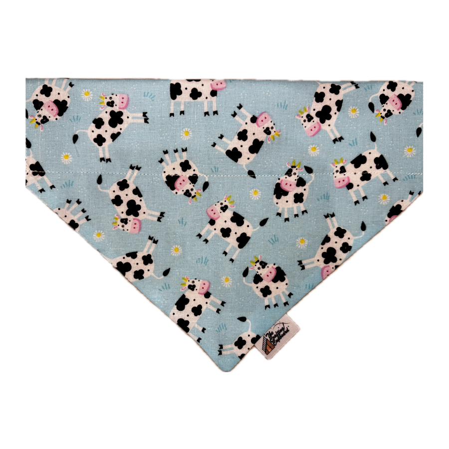 Bandanas (89).png