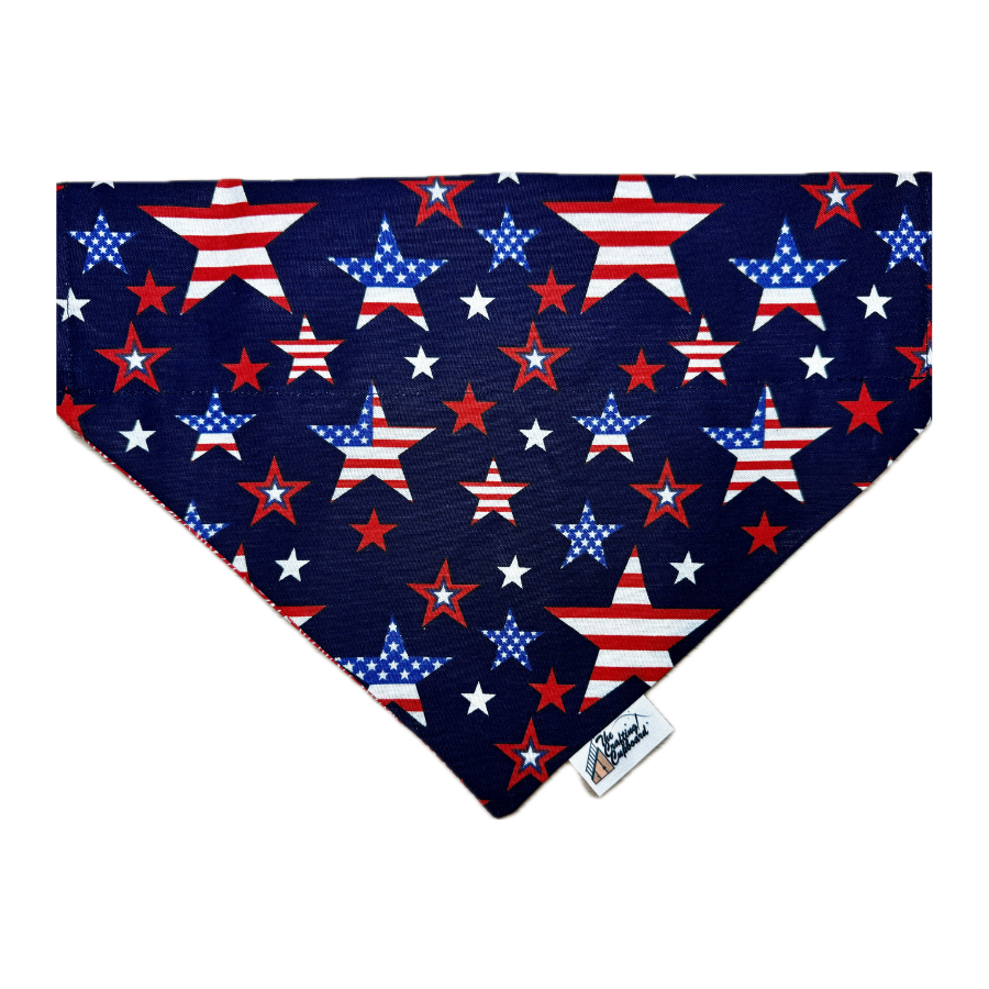 Bandanas (85).png
