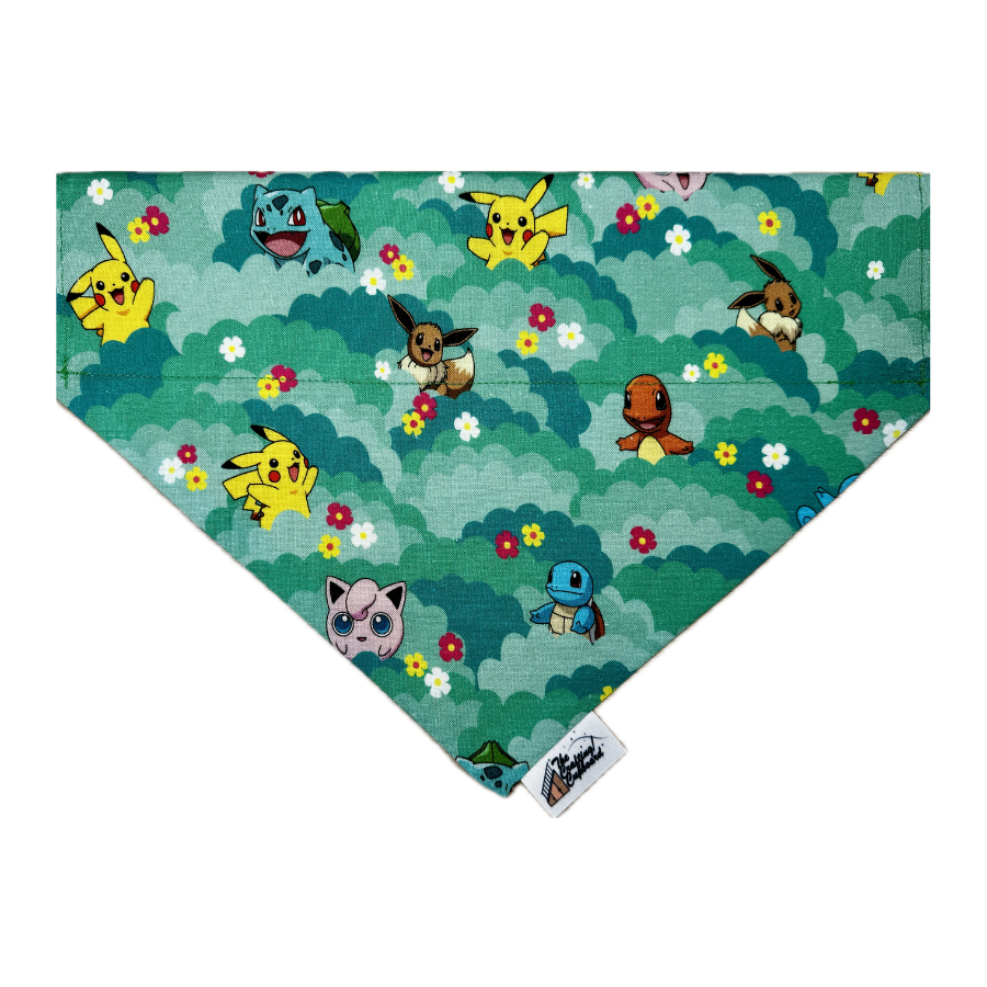 Bandanas (64).png