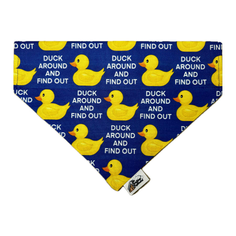 Duck Around Pet Collar Bandana
