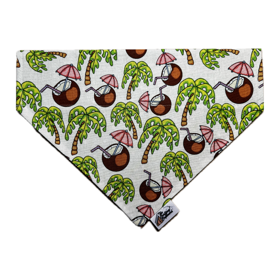 Coconut Drink Pet Collar Bandana