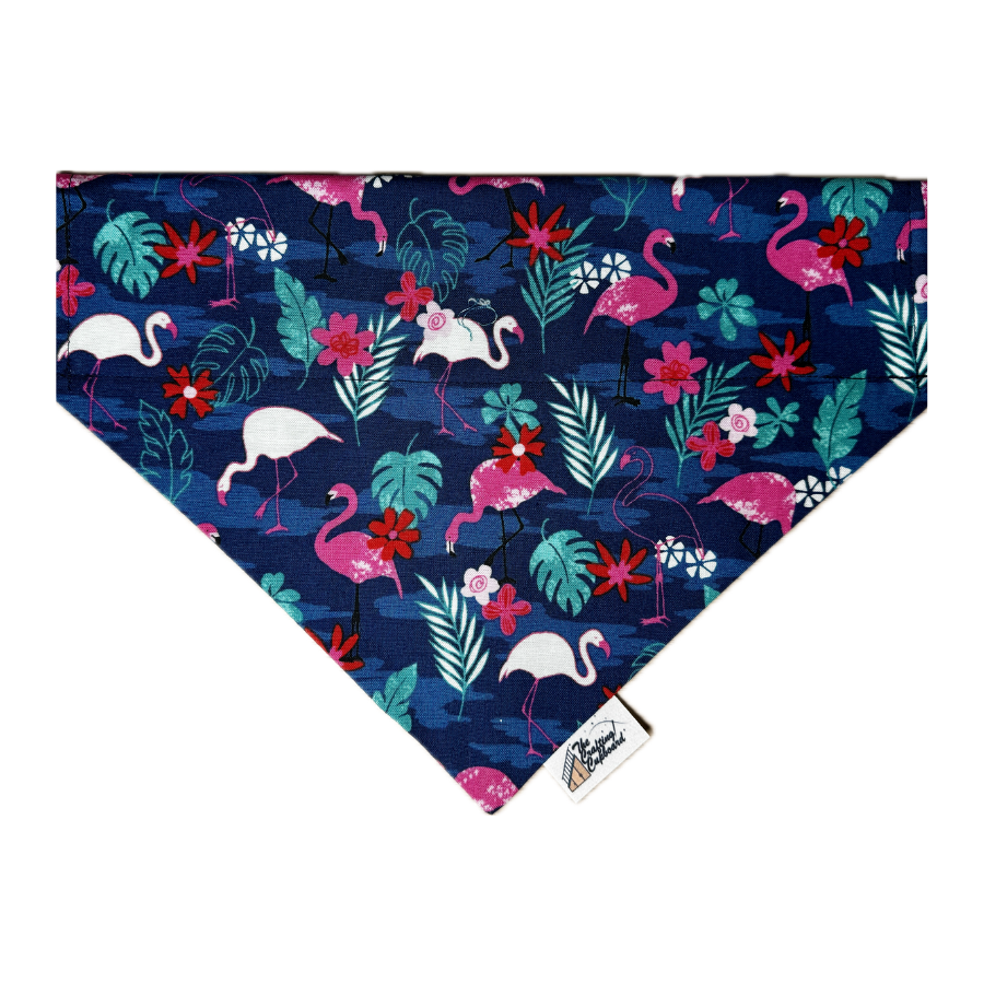 Bandanas (74).png