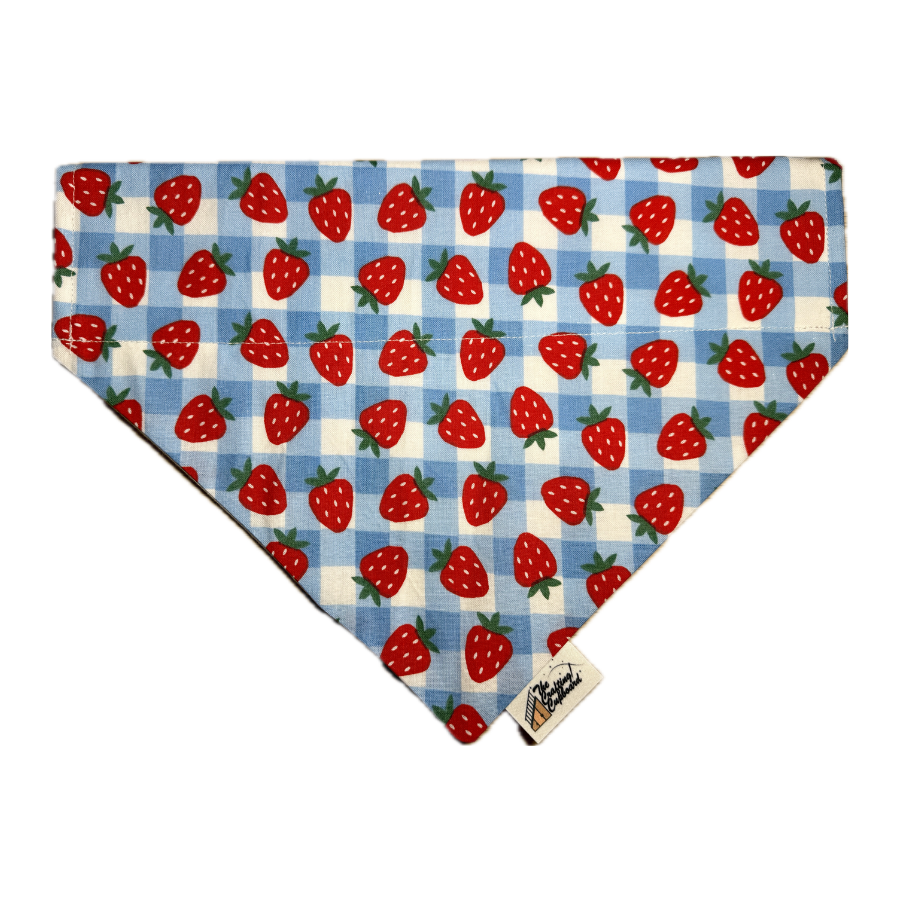 Bandanas (76).png