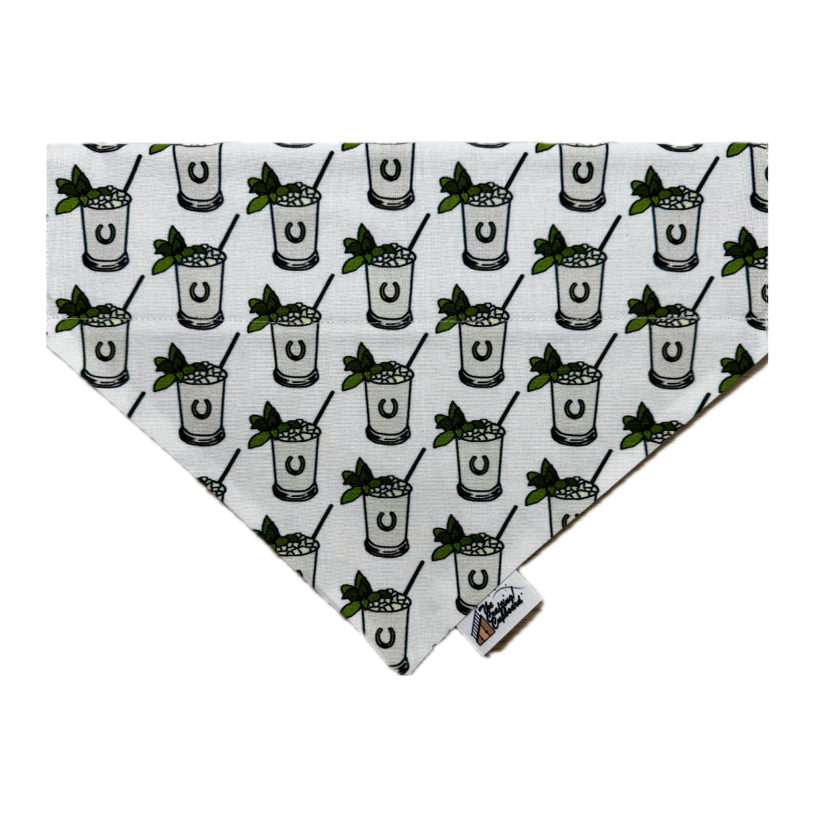 Bandanas (72).png