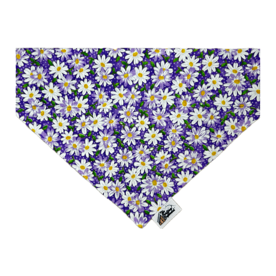 Purple Daisies Pet Collar Bandana