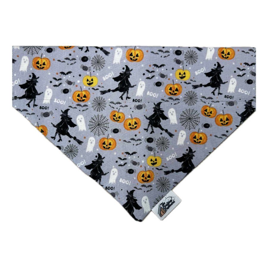 Flying Witches Pet Collar Bandana