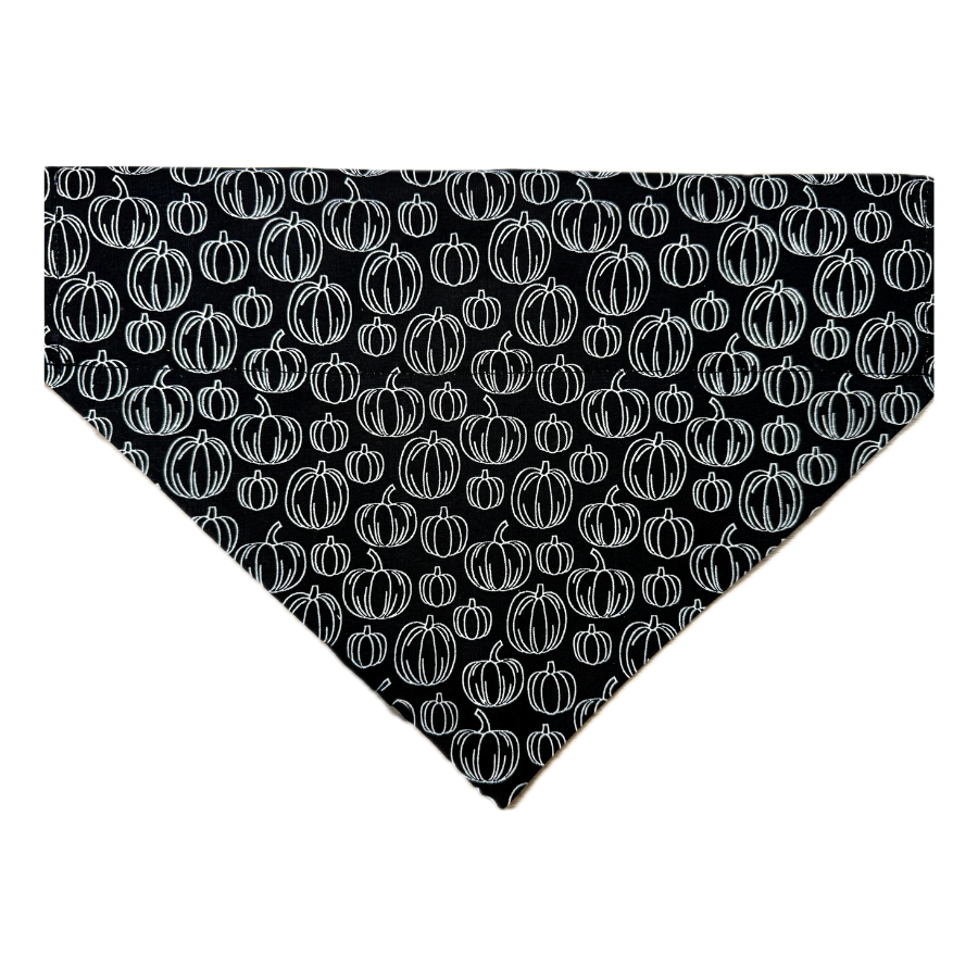 Black Pumpkins Pet Collar Bandana