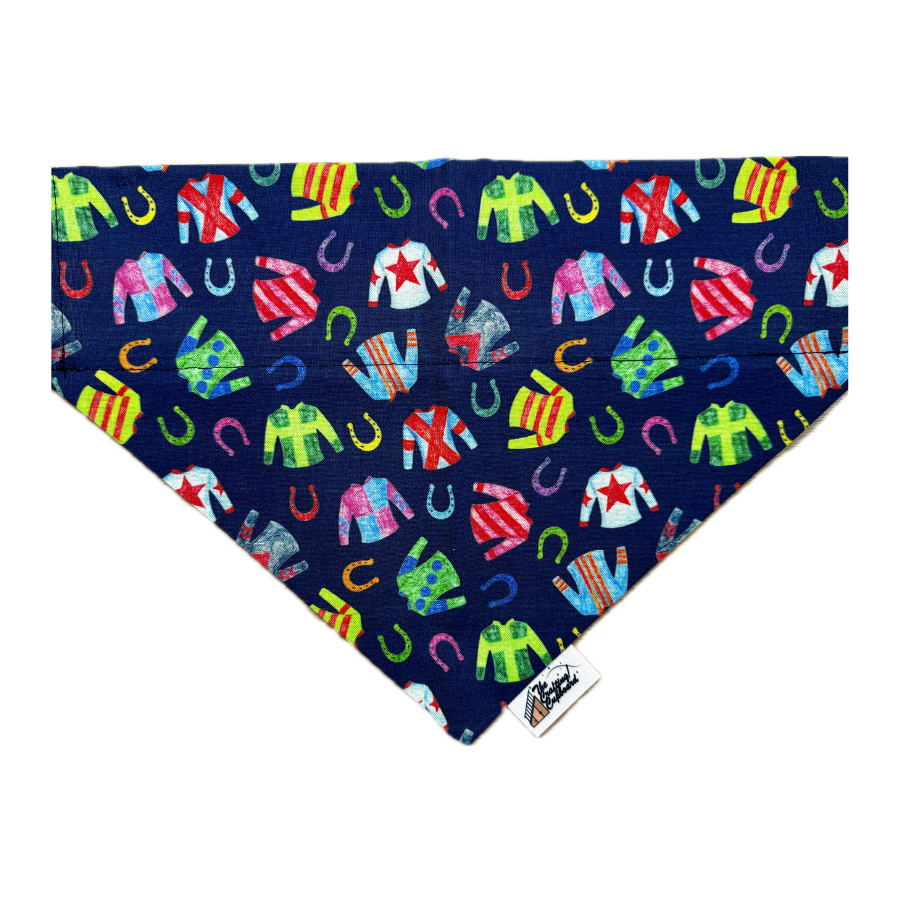 Bandanas (73).png