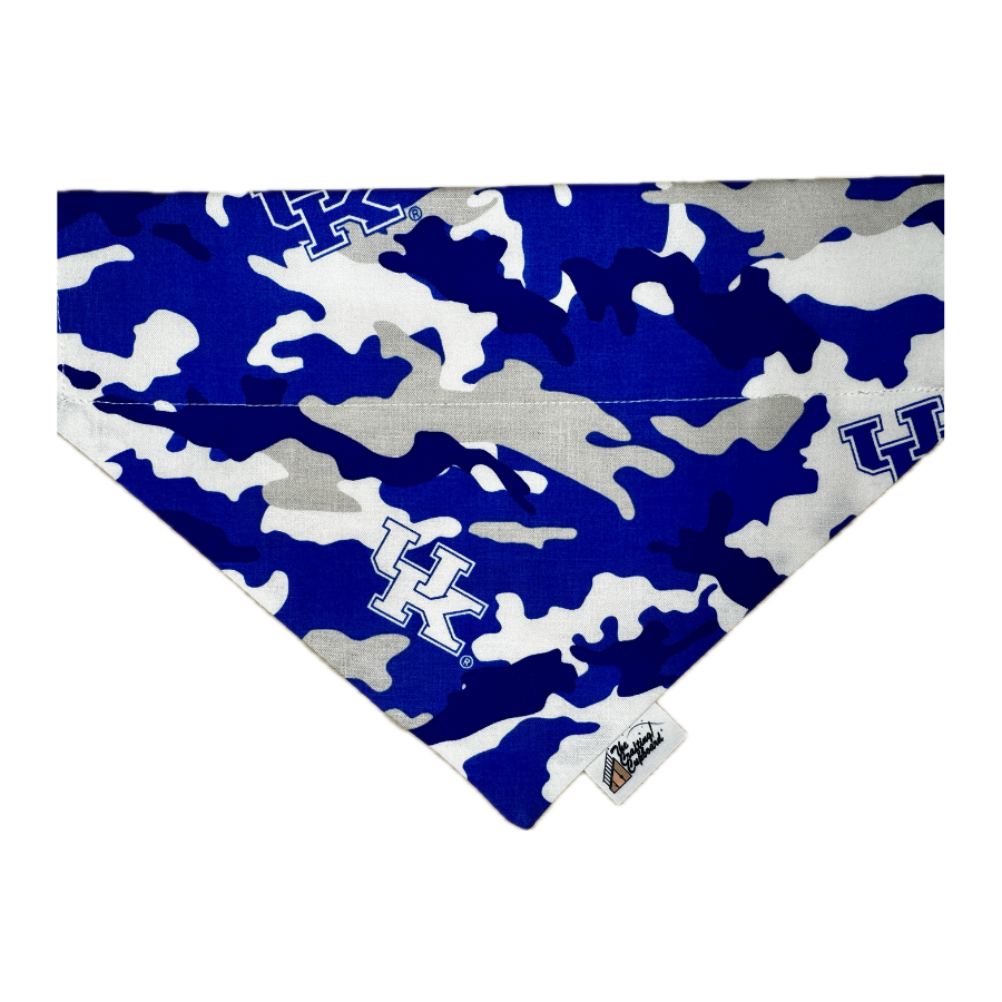 Bandanas (90).png