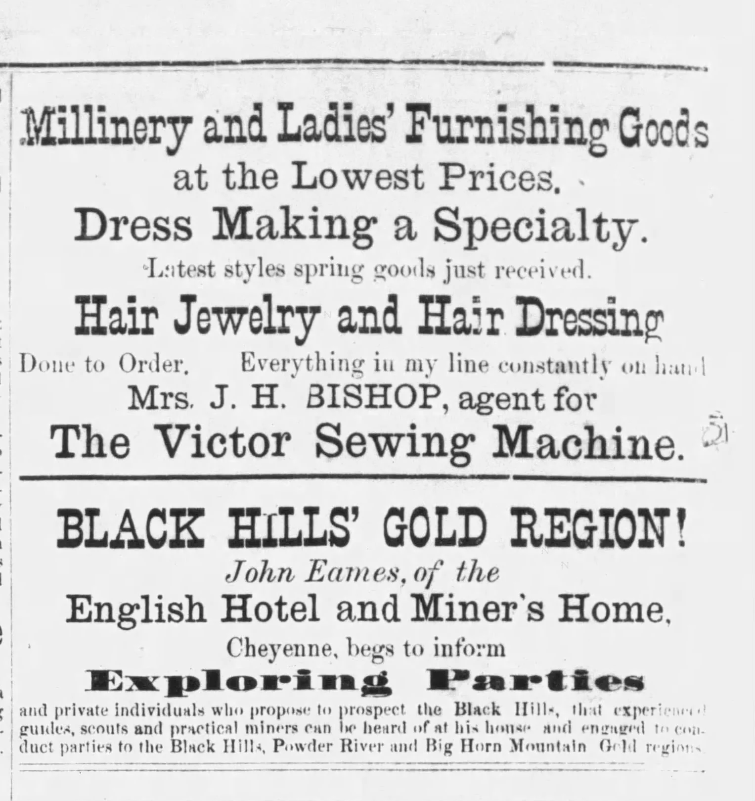 Hair Jewelry Cheyenne WY 1875.jpg
