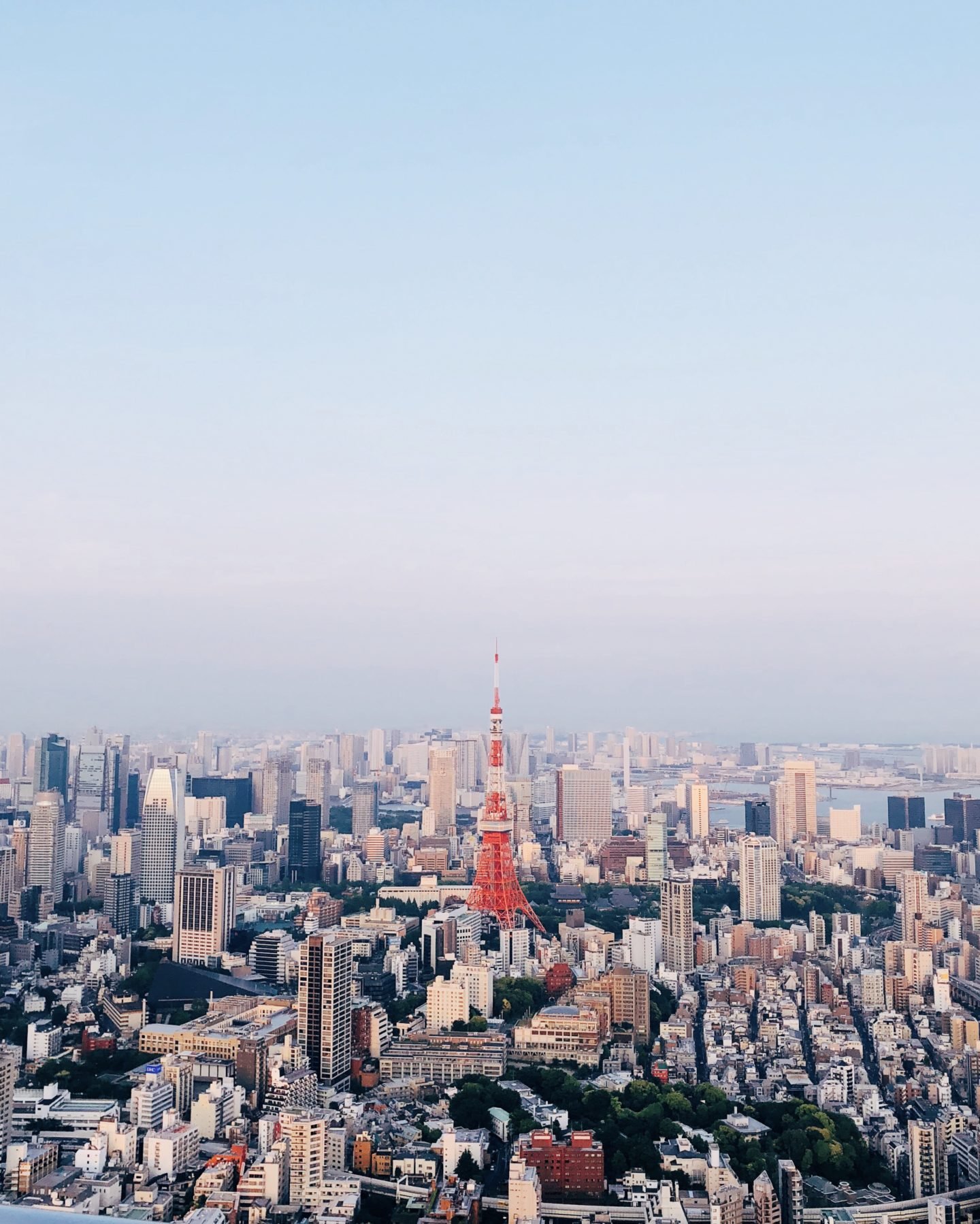 Tokyo-Tower-Japan-Skyline-View-1-1440x1798.jpeg