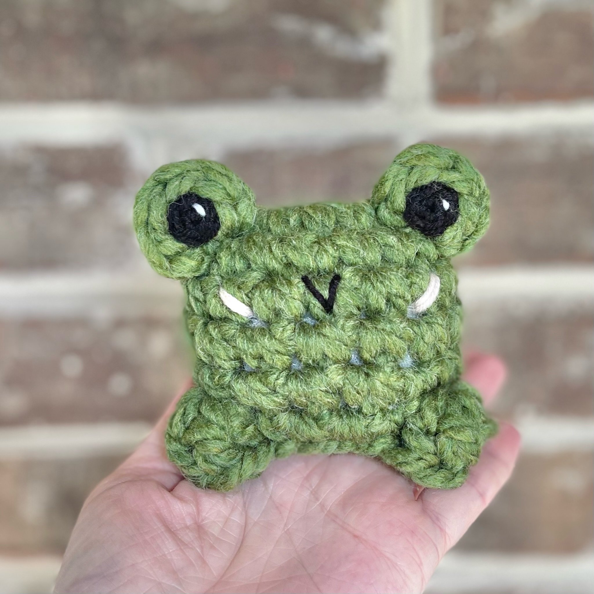 Frank the Frog Pattern Photos - 21 of 23.jpeg