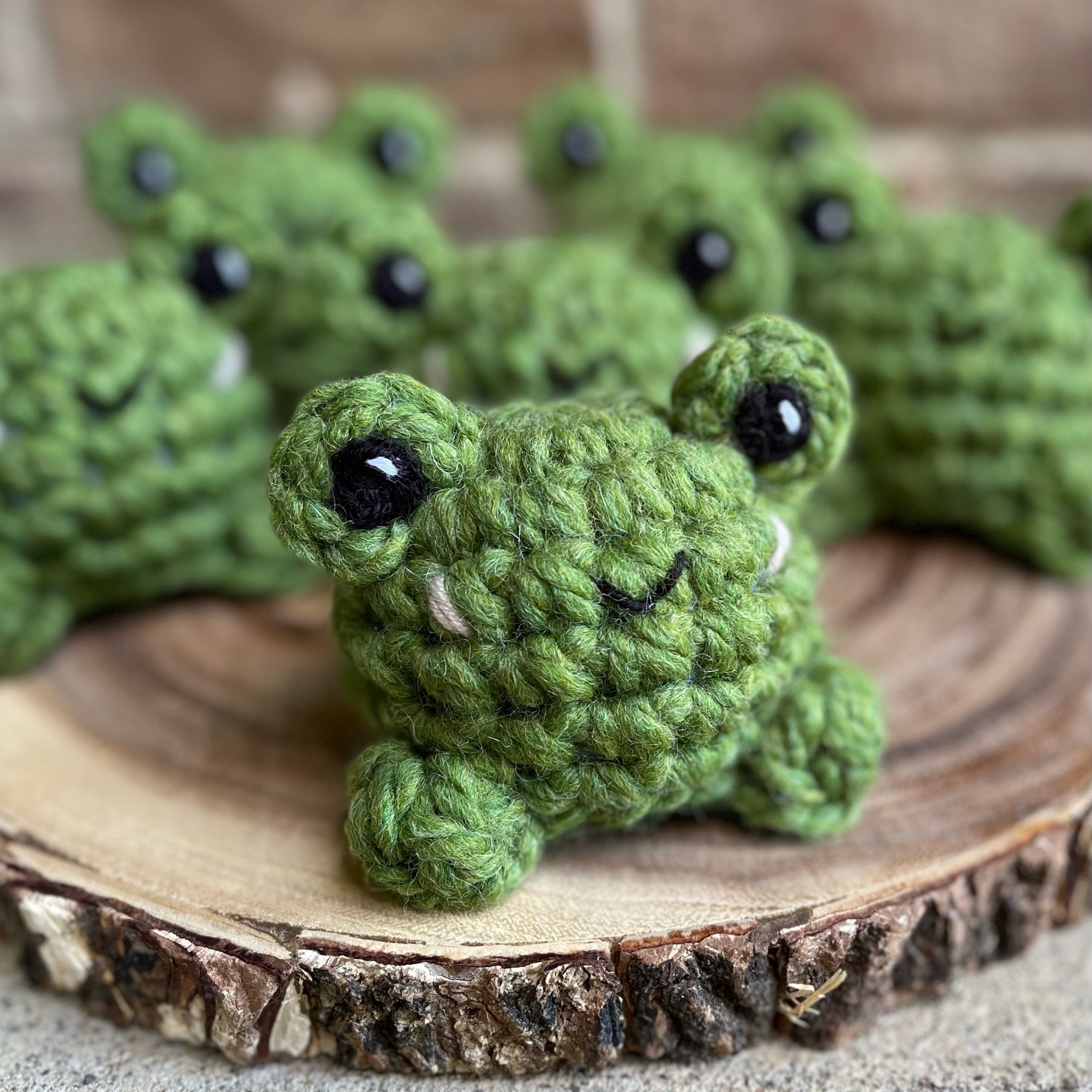 Frank the Frog Pattern Photos - 20 of 23.jpeg