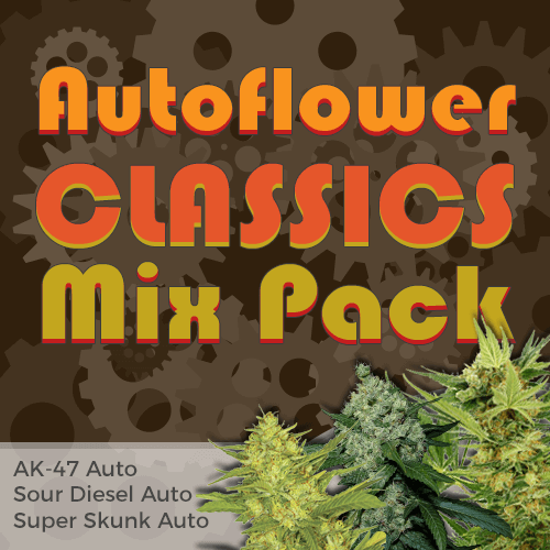 Autoflower Classics Mix Pack From $159