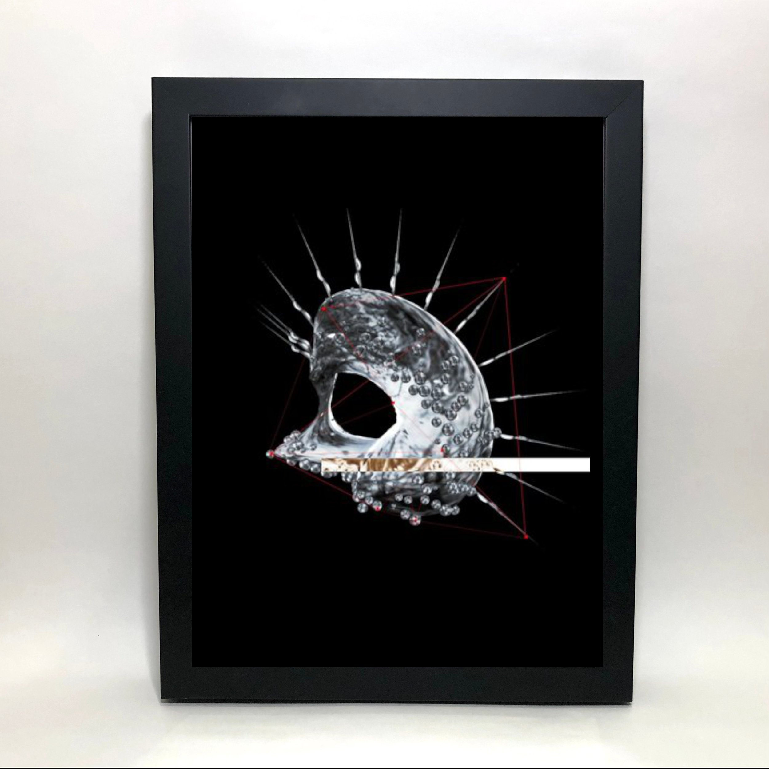morphologies_002.jpg