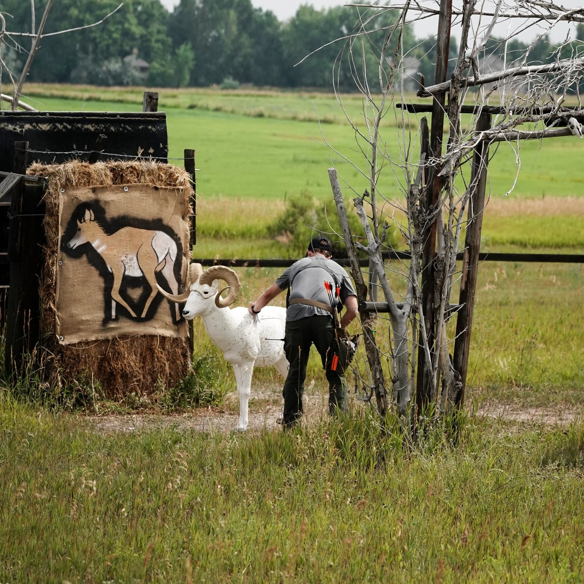 Volunteers Needed for Range Work Day