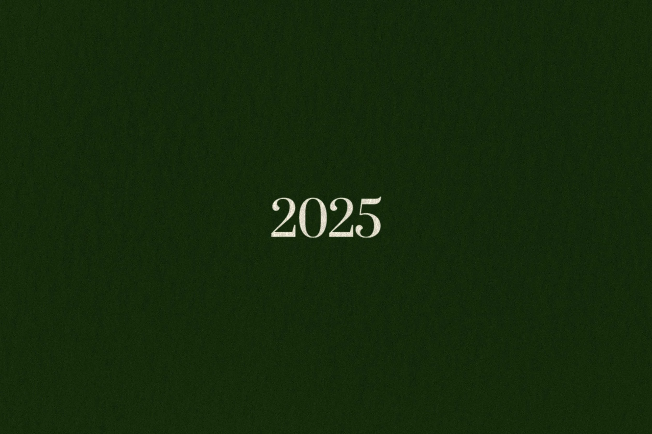 2025 Response to Vision to Reality II