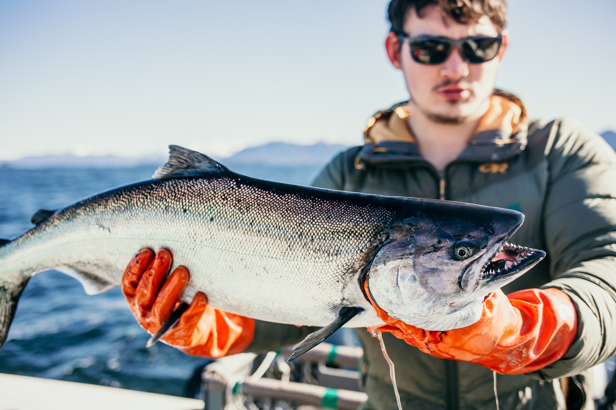 Wild Alaskan Salmon Fishing — Sitka Sea Level Adventures