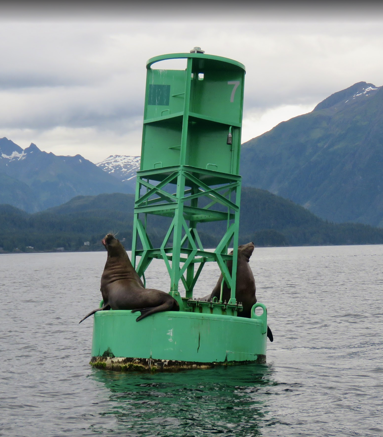whale-watching-sitka-alaska