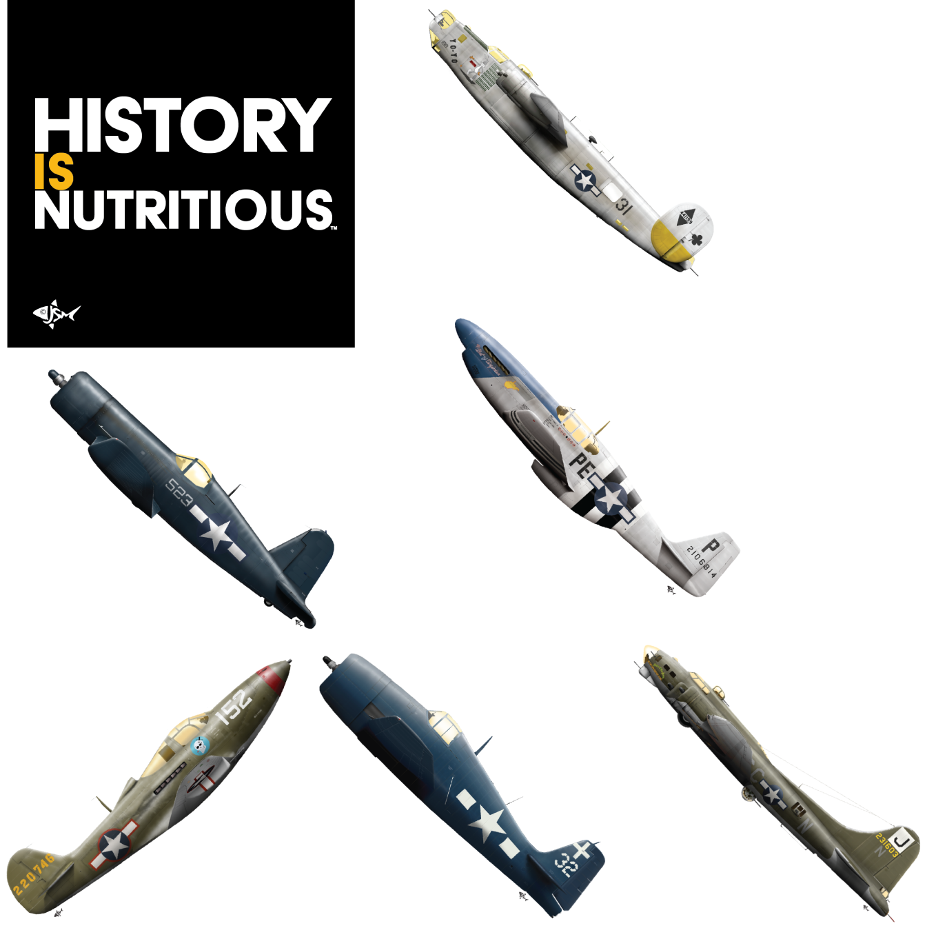 Six WWII aircraft - B-24J Liberator, B-17G Flying Fortress, P-51B Mustang, F6F-5 Hellcat, F4U-1 Corsair, and P-39D Airacobra + a History is Nutritious™ sticker!